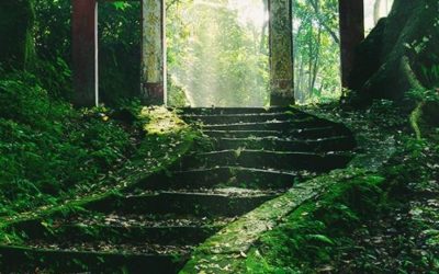 Le reiki traditionnel  japonais