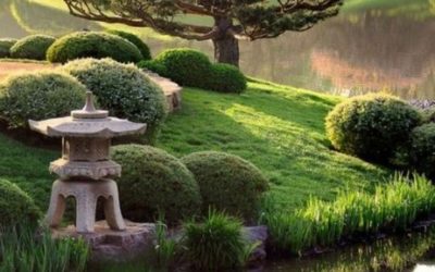 Focus sur la pratique du Reiki traditionnel japonais