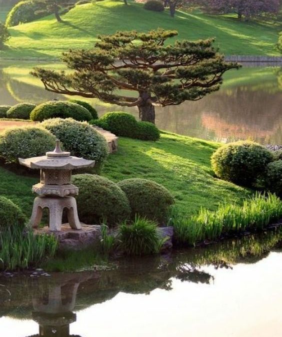 Focus sur la pratique du Reiki traditionnel japonais